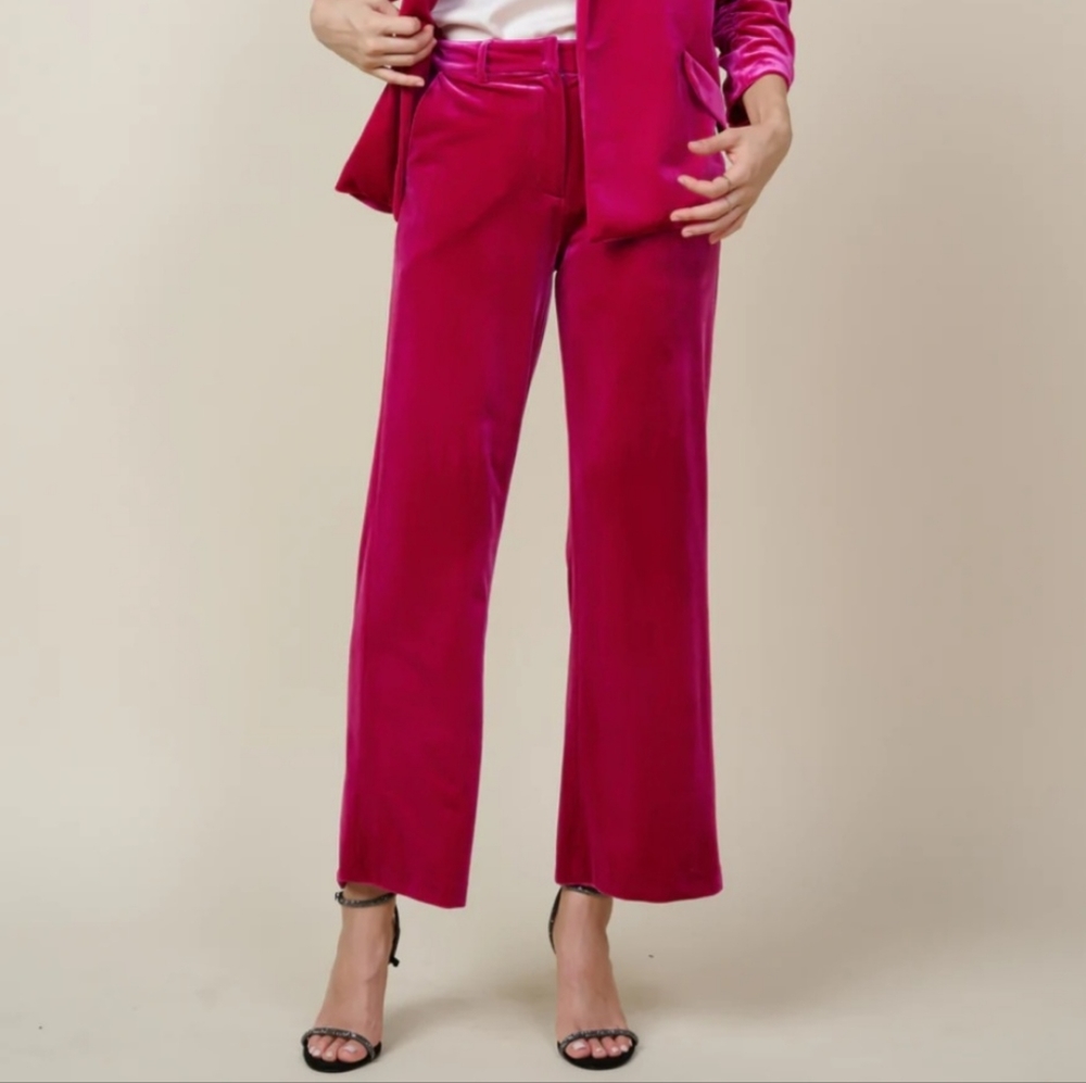 BNWT Skies Are Blue Pink Velvet Pants Size XS